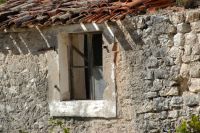 Novigrad